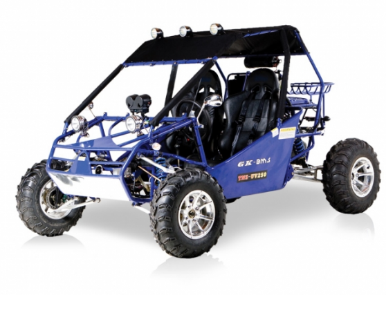 Xplicit Motorsports: Power Buggy 250cc Xplicit Motorsports: Power Buggy 250cc