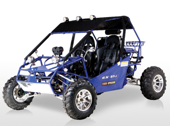 Power Buggy 300